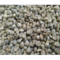 /msite/products/detail/productid/62002806/id/1361271.html